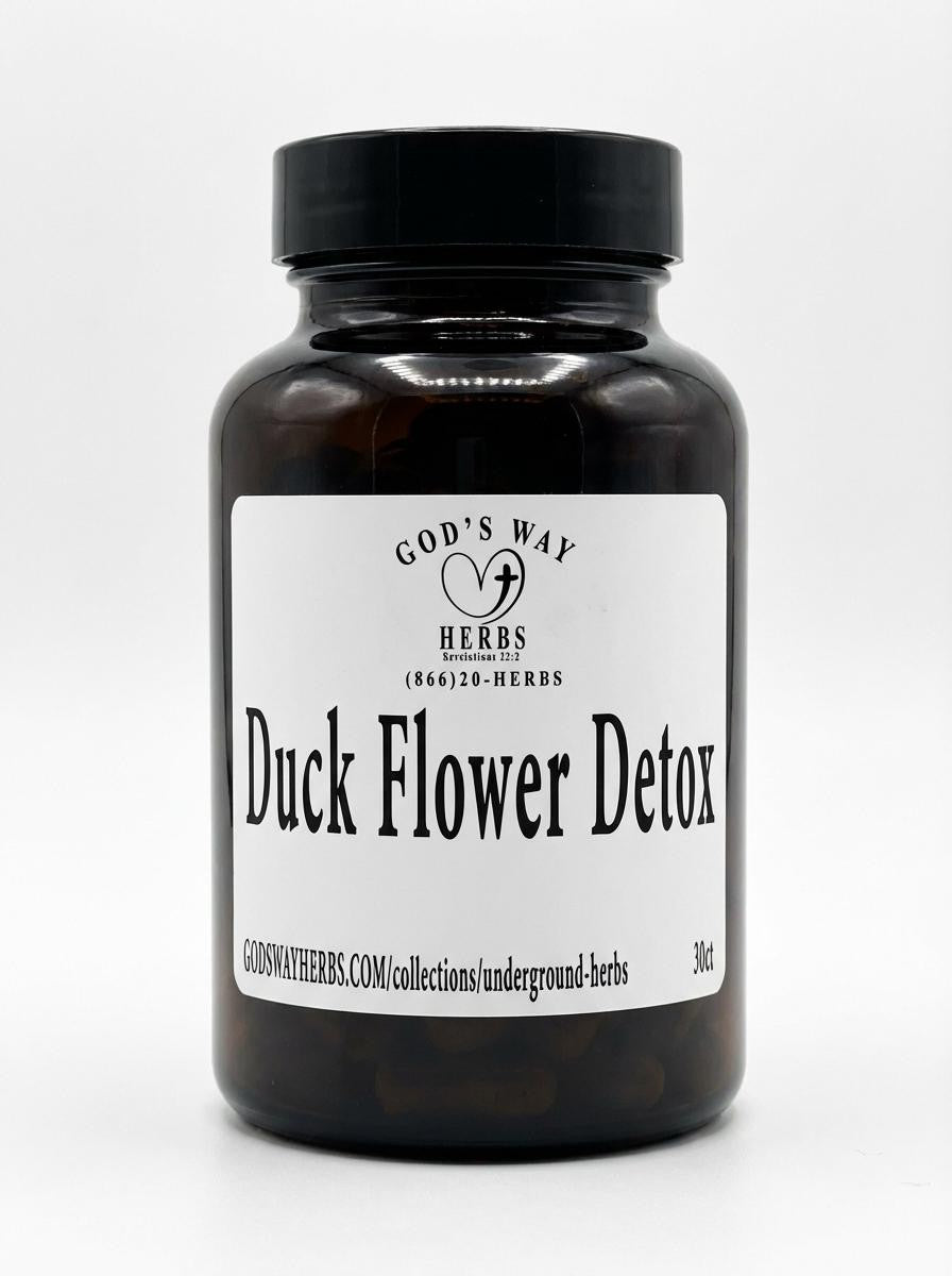Duck Flower Detox by Gods Way Herbs Natural detoxification support, dried encapsulated flower herb. Duck flower 30ct