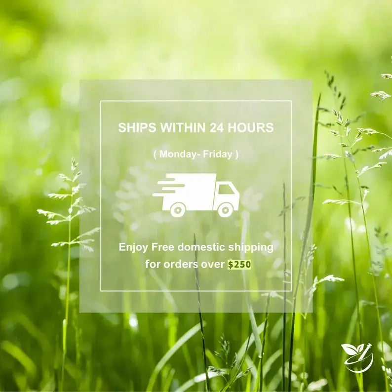 God's Way Herbs ships within 24 hours, free shipping for orders over $250