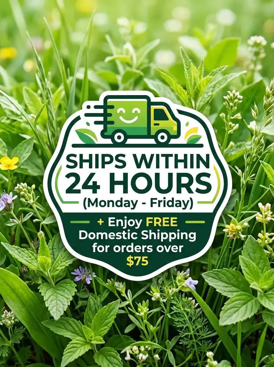 God's Way Herbs ships within 24 hours, free shipping for orders over $75