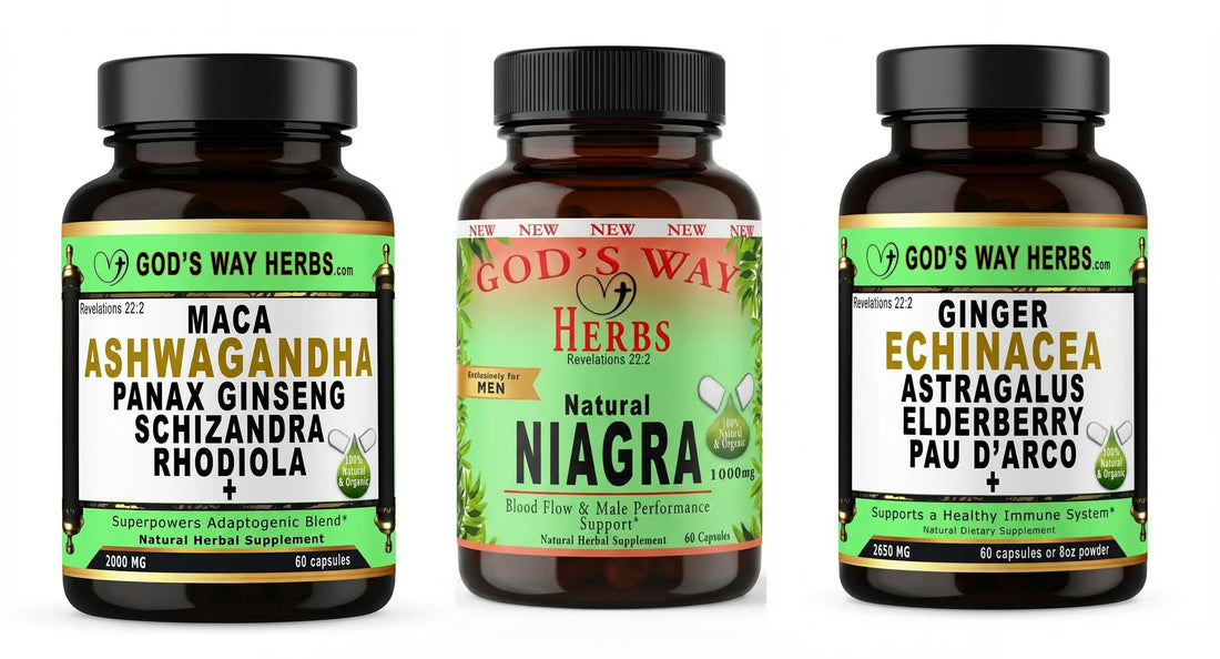 Quick Fix Herbal Master Tonic (Immune Support) Dr. Sebi inspired