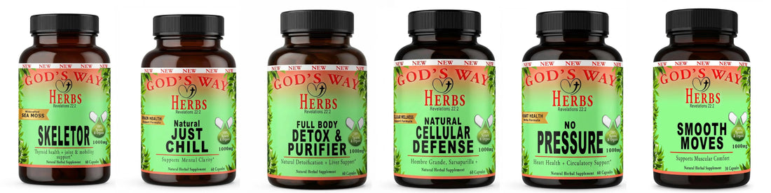 Herbal Supplements for Everyday Wellness A Practical Guide - God's Way Herbs
