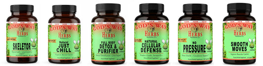 Herbal Supplements for Everyday Wellness A Practical Guide - God's Way Herbs