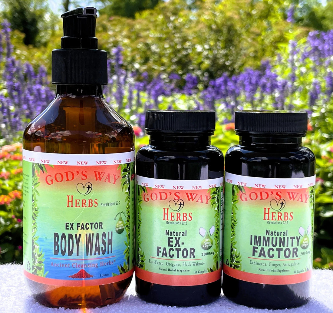 Natural Detoxification Tips for a Cleaner Body and Mind - God's Way Herbs