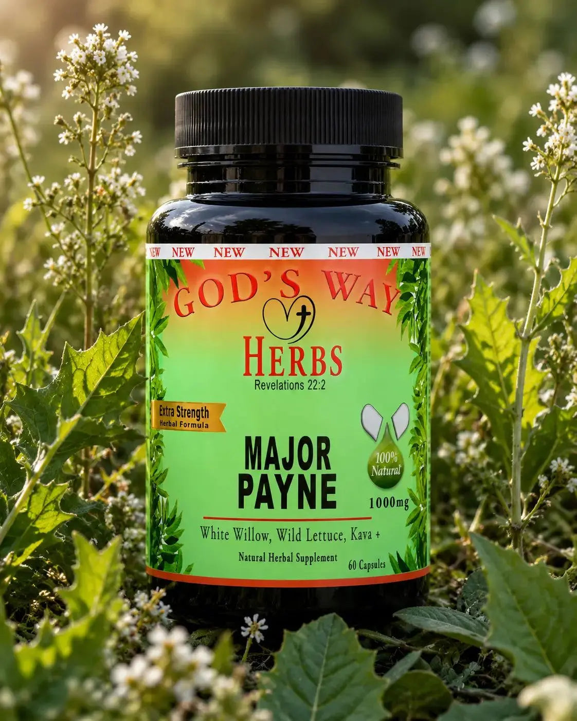 Major Payne Herbal Supplement in a field of white willow, blue cohosh and wild lettuce.