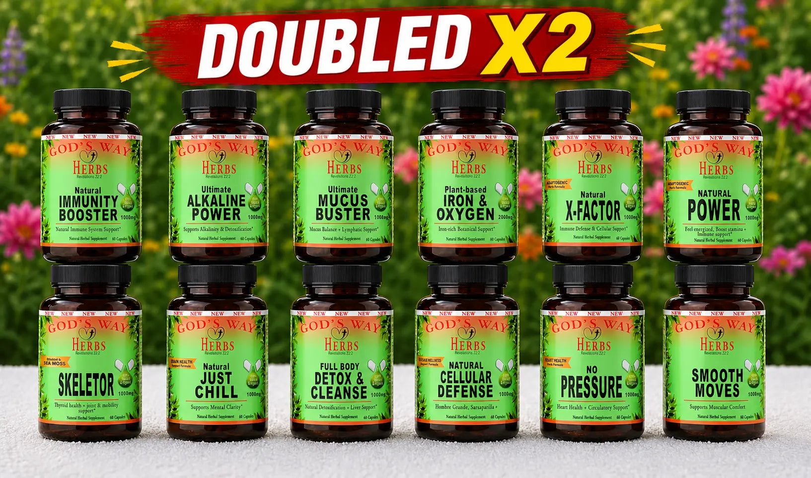 A picture of the Complete Wellness System: 24 Herbal Supplement formulas!