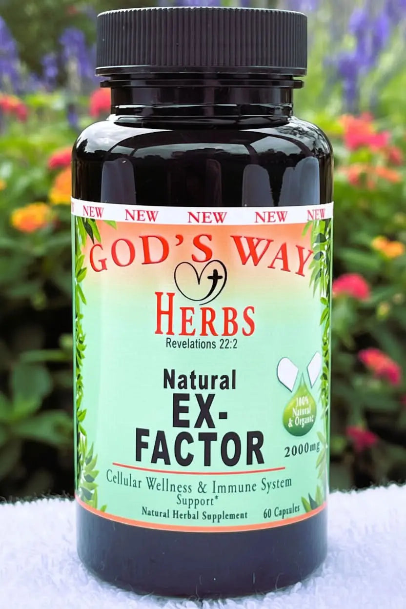 immune support supplement