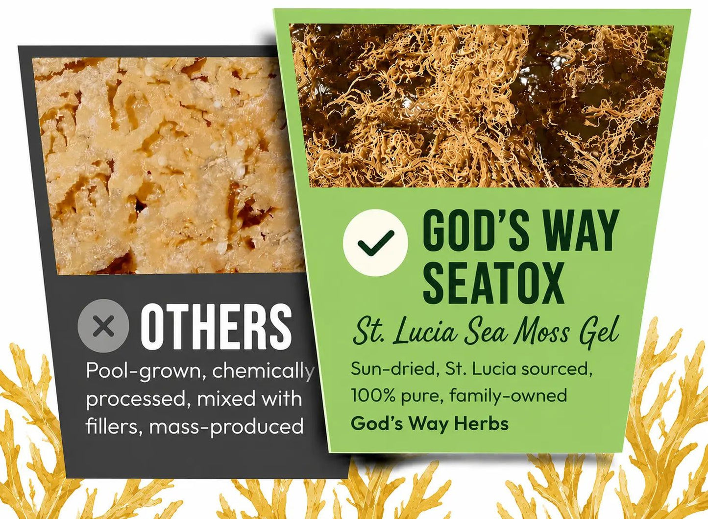 St. Lucia Gold Sea Moss Gel God's Way Herbs