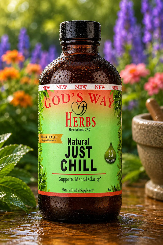 Just Chill (Calm and Focus Support Supplement) God's Way Herbs