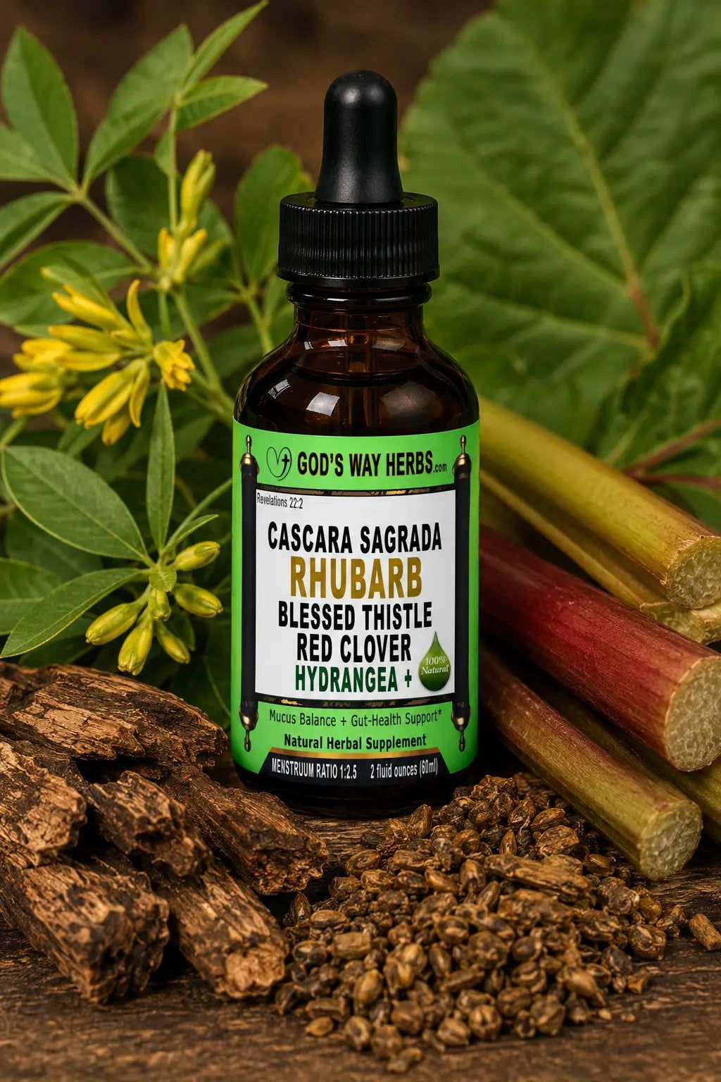 Ultimate Mucus Buster (Mucus Cleanse Supplement) God's Way Herbs