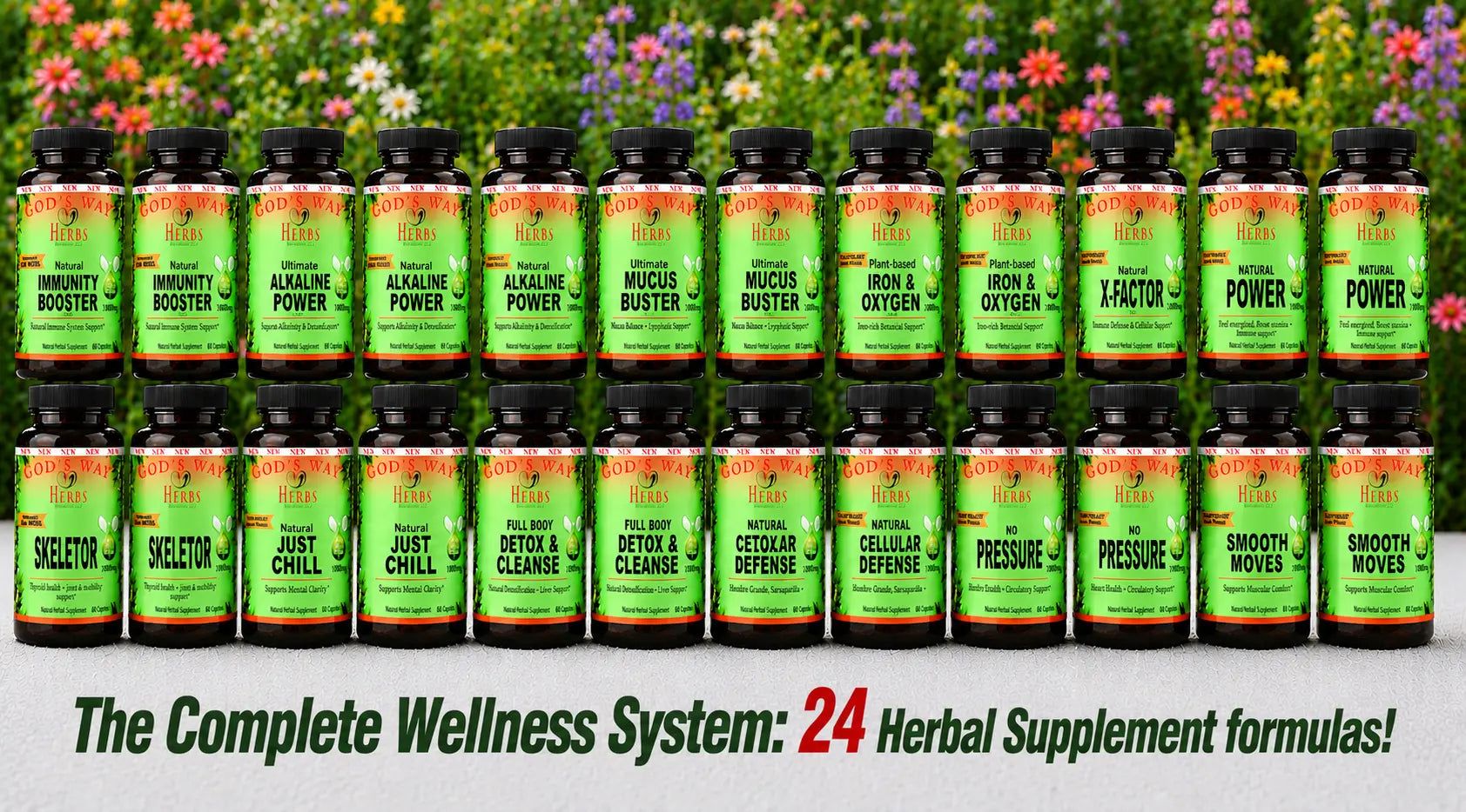 Complete Wellness System (24 formulas) God's Way Herbs