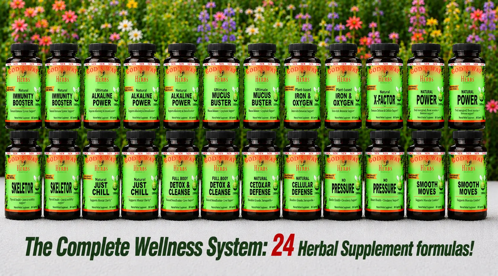 Complete Wellness System (24 formulas) God's Way Herbs
