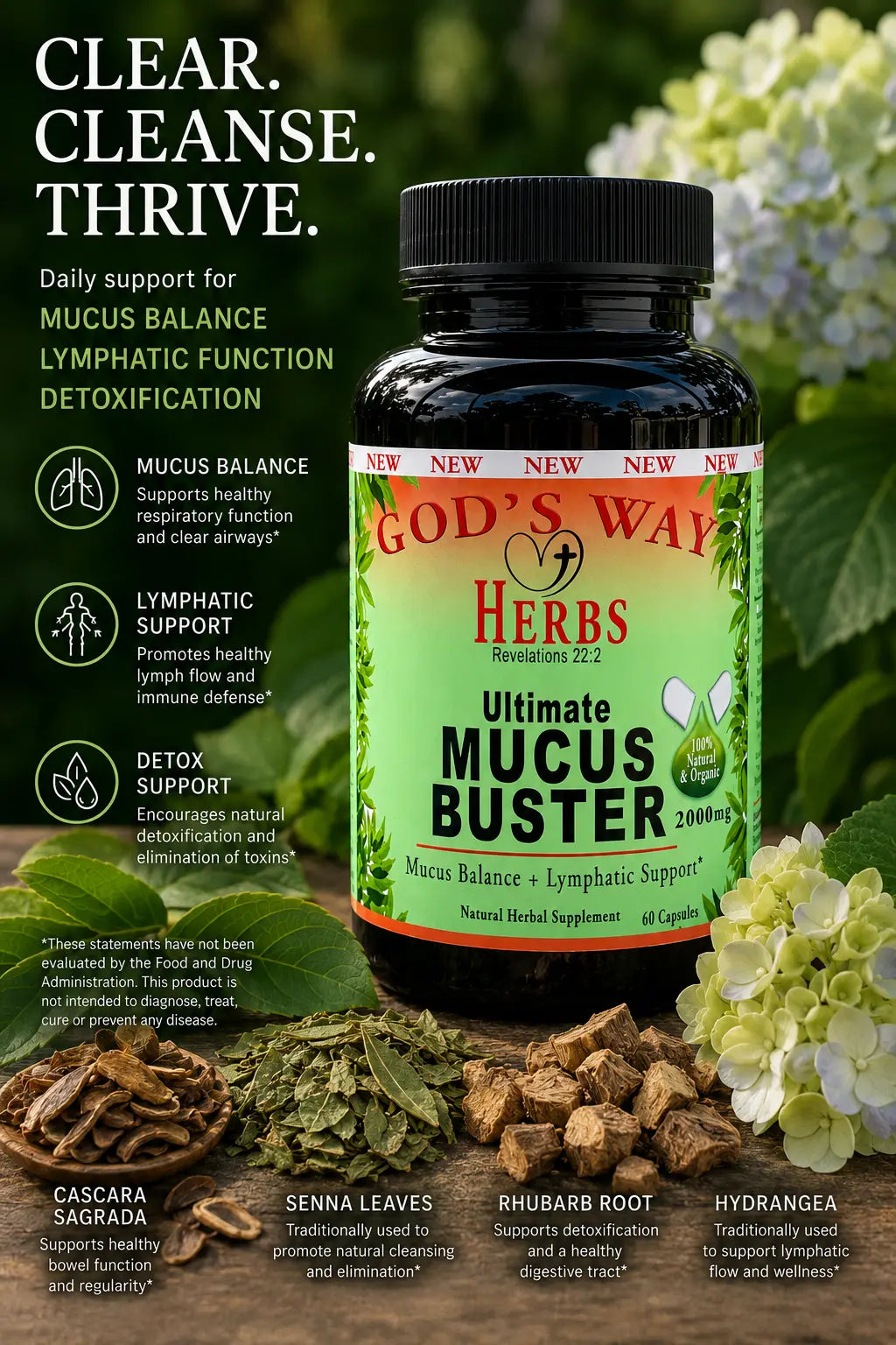 Ultimate Mucus Buster with herbal ingredients like linden, hydrangea, rhubarb root, senna leaves and cascara sagrada bark.