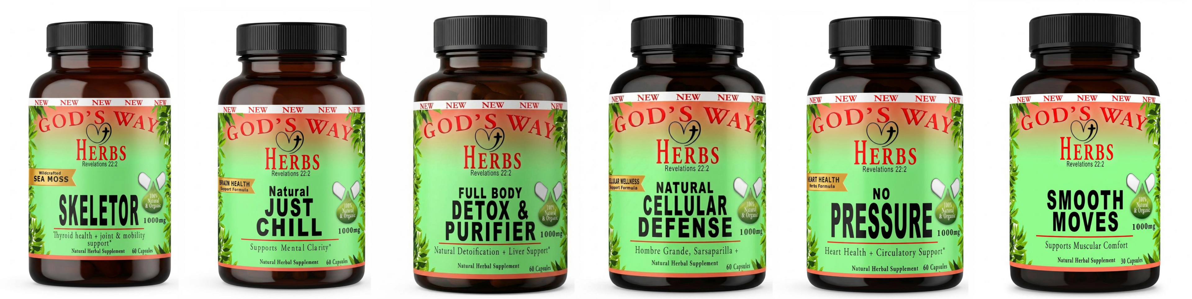 Wellness Package 3 Digestion, Immunity, Brain Health Herbal Support Supplements