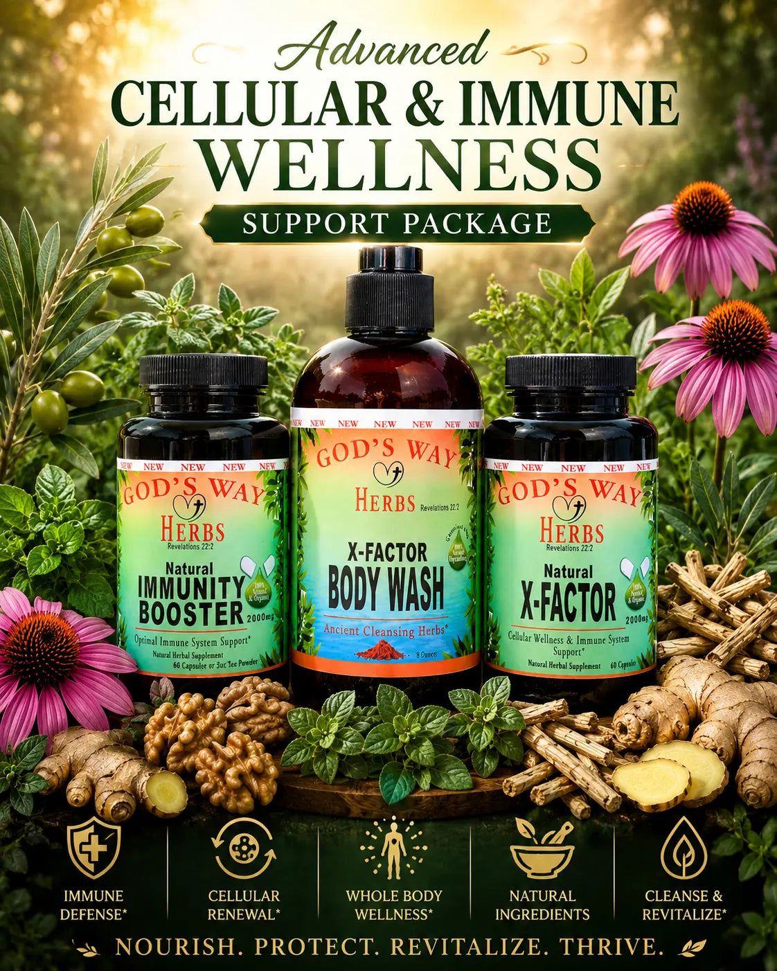 God's Way Herbs products for cellular and immune wellness with natural ingredients and plants in the background.