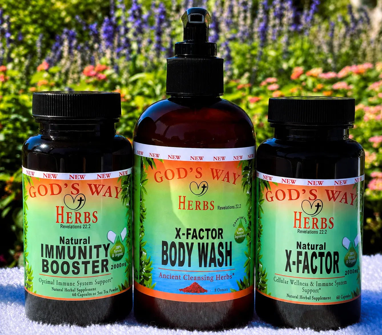 Advanced Cellular Wellness Bundle