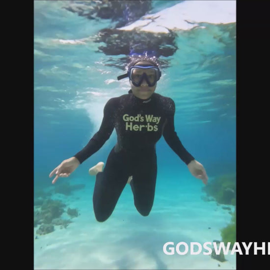 God's Way Herbs St. Lucia Sea Moss dive video