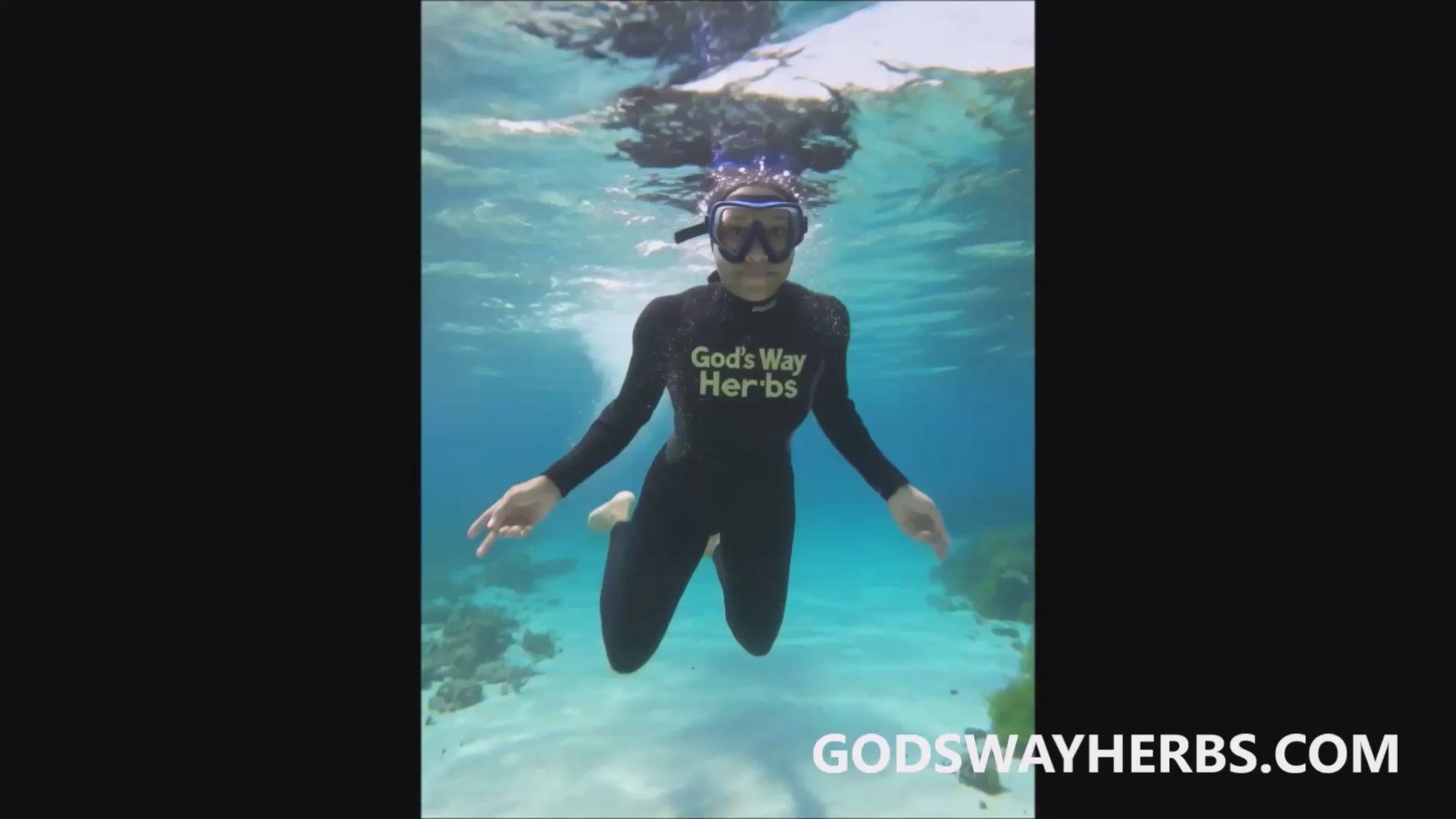 God's Way Herbs St. Lucia Sea Moss dive video